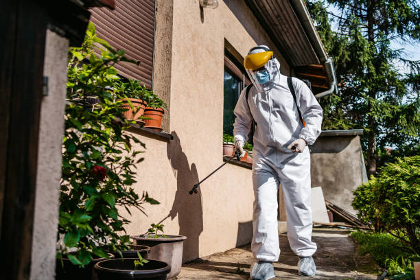 Bird Control in Eagle Crest, OR