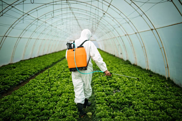 Best Local Pest Control Services  in Eagle Crest, OR