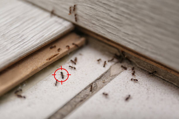 Best Commercial Pest Control Services  in Eagle Crest, OR