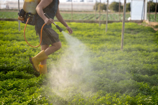 Best Pest Prevention Services  in Eagle Crest, OR