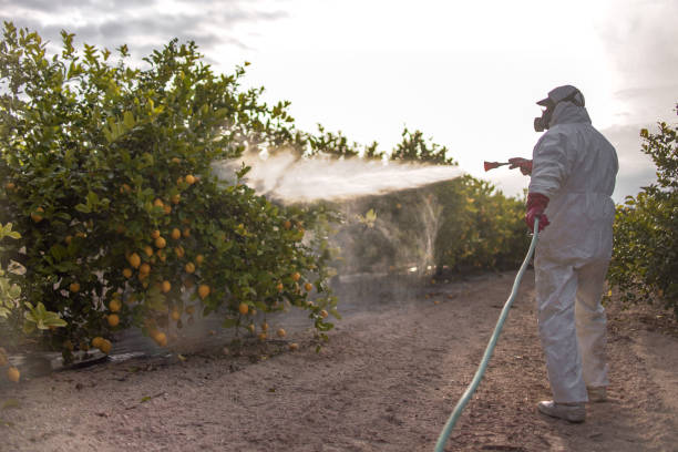 Best Mosquito Control Services  in Eagle Crest, OR