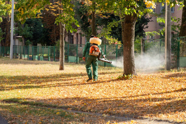 Trusted Eagle Crest, OR Pest Control Experts