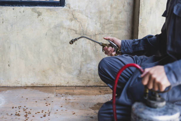 Best Rat Extermination Near Me  in Eagle Crest, OR