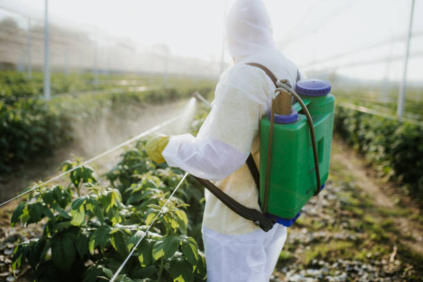 Best Insect Control  in Eagle Crest, OR